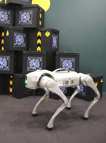 Actividad Team Building